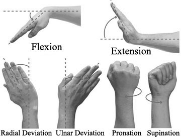 Types of wrist movements